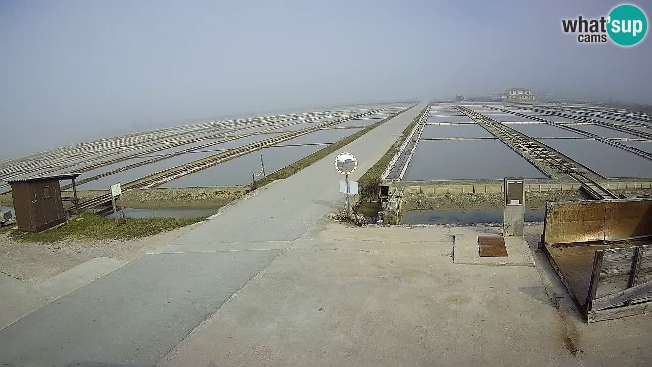 Seča – Panorama in soline