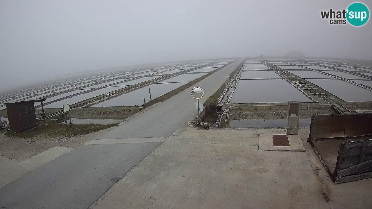 Sečovlje Salina Parque Natural