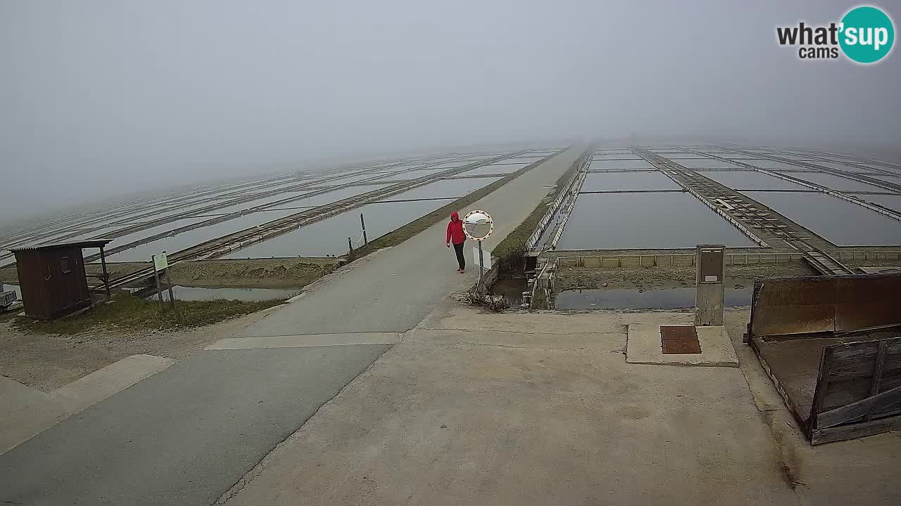 Sečovlje Salina Nature Park – KPSS