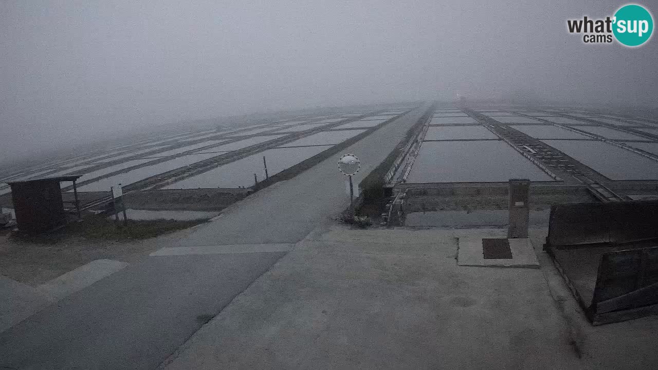 Naturpark der Salinen von Sečovlje