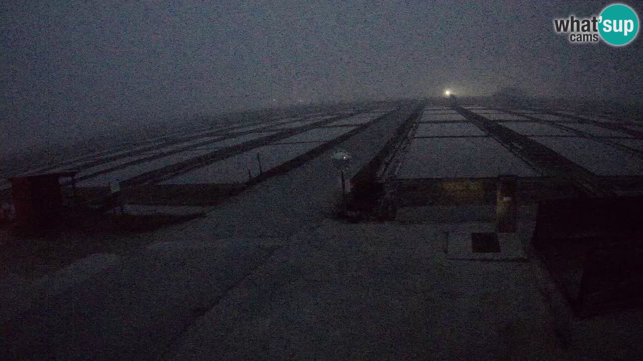 Seča – Panorama and Salina