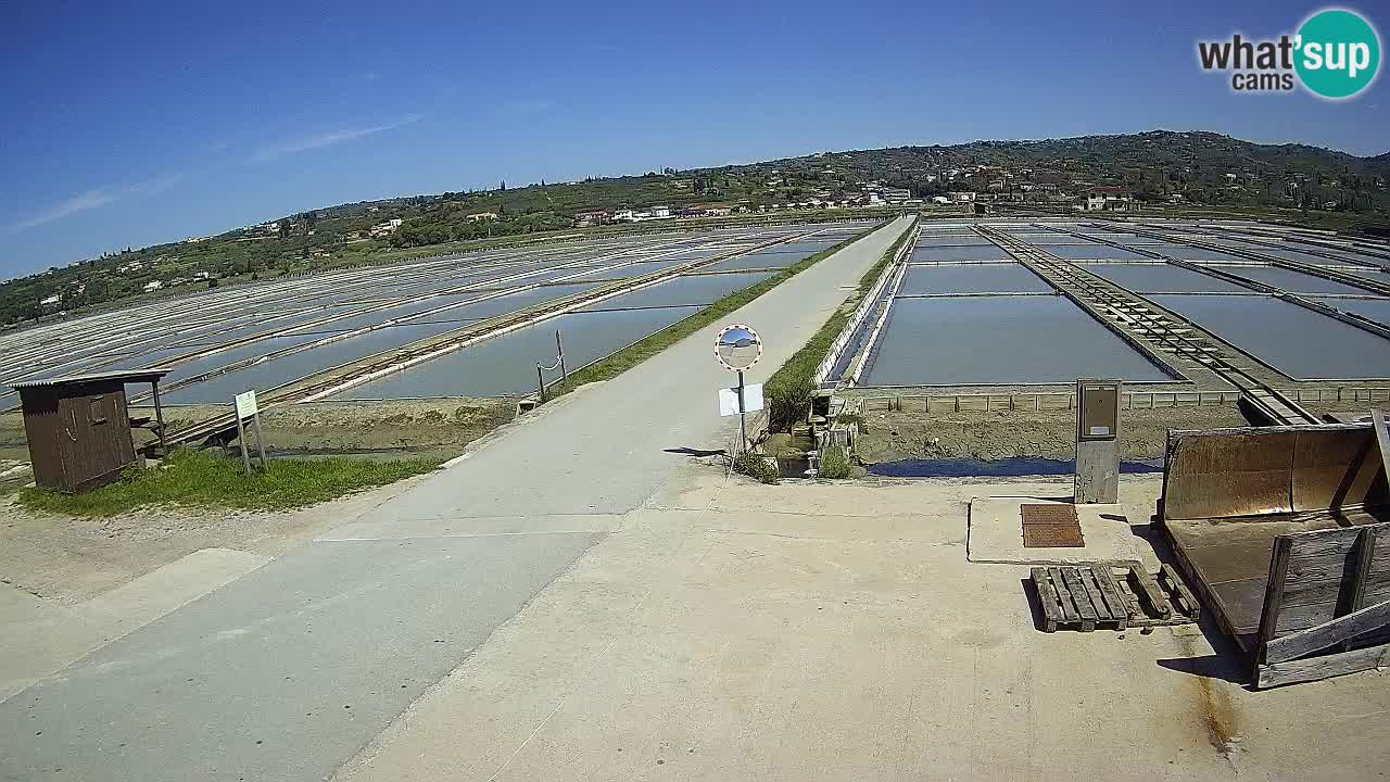 Krajinski Park Sečoveljske Soline