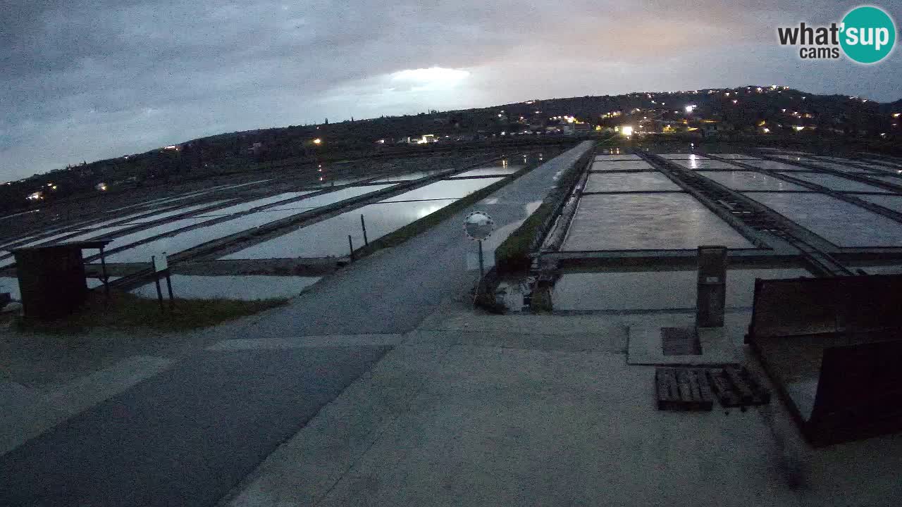 Naturpark der Salinen von Sečovlje