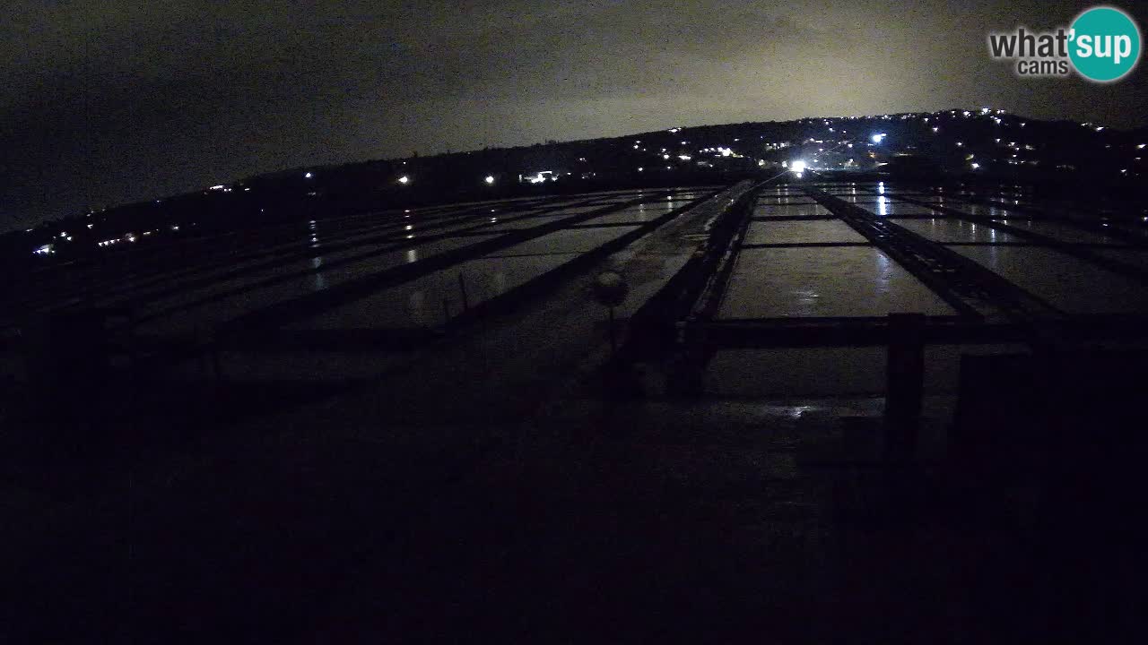 Sečovlje Salina Nature Park