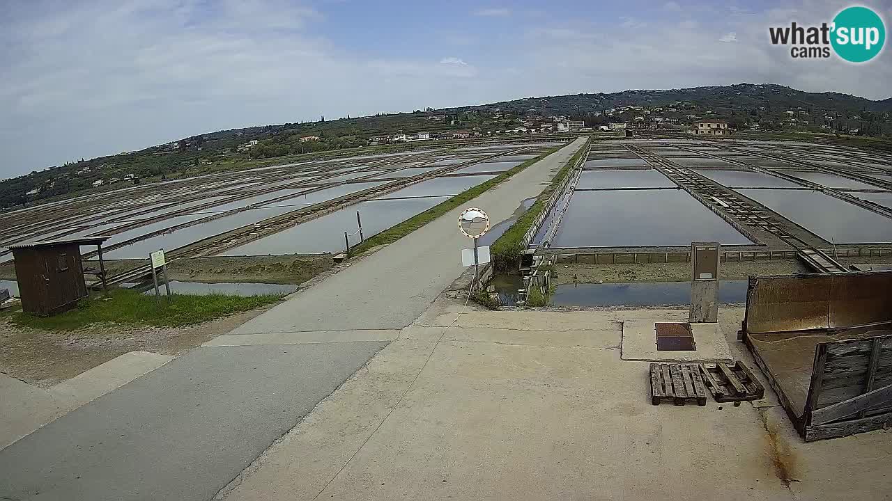 Sečovlje Salina Parque Natural