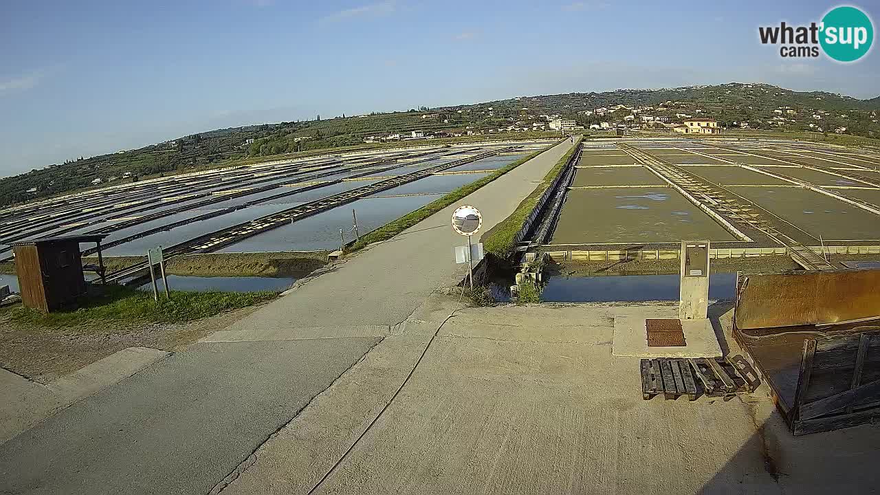 Park prirode Sečovlje Salina