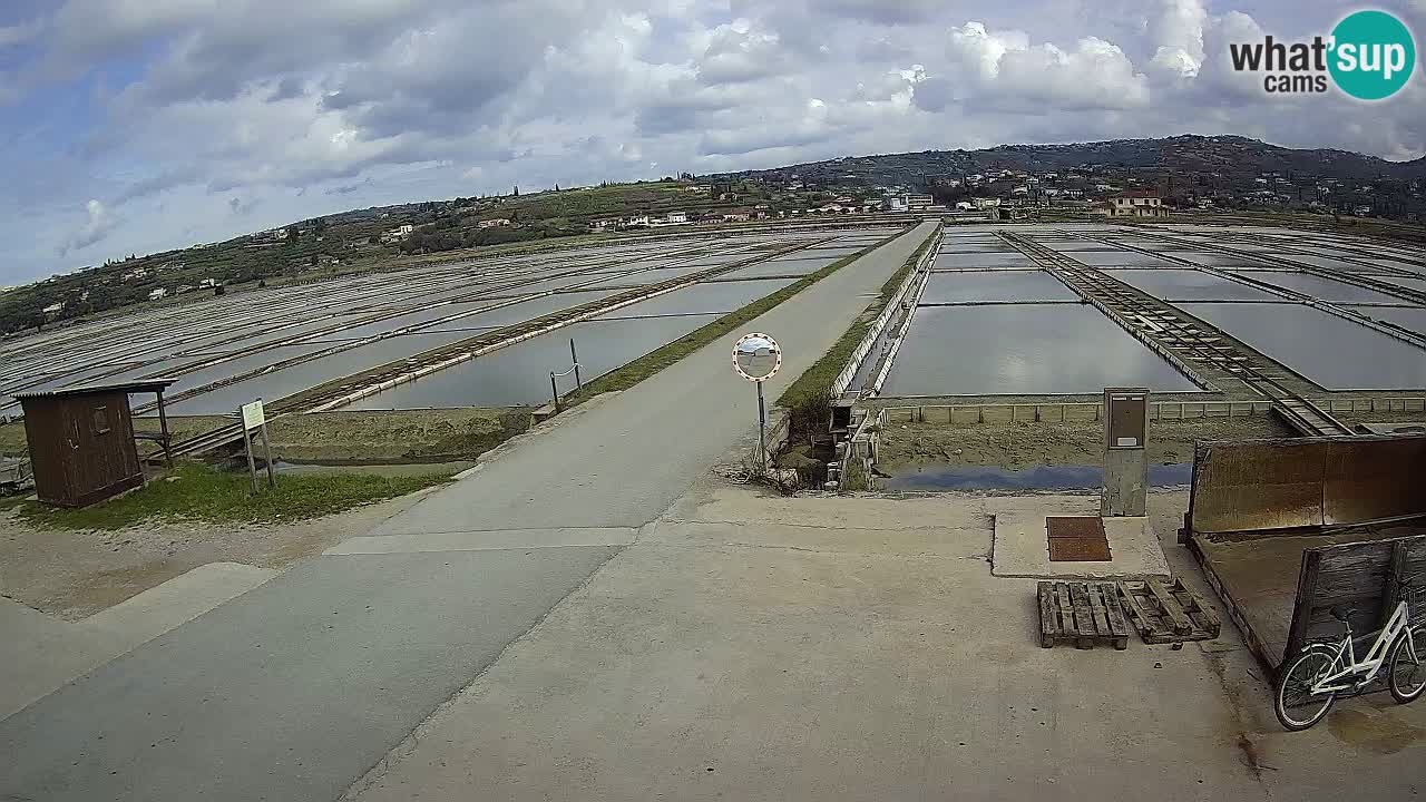 Krajinski Park Sečoveljske Soline