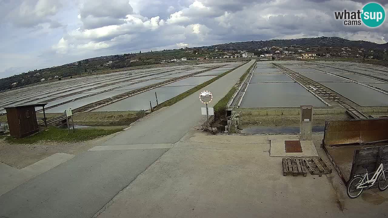Park prirode Sečovlje Salina