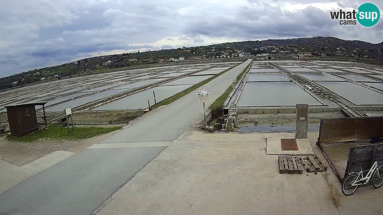 Sezza – Panorama e le saline