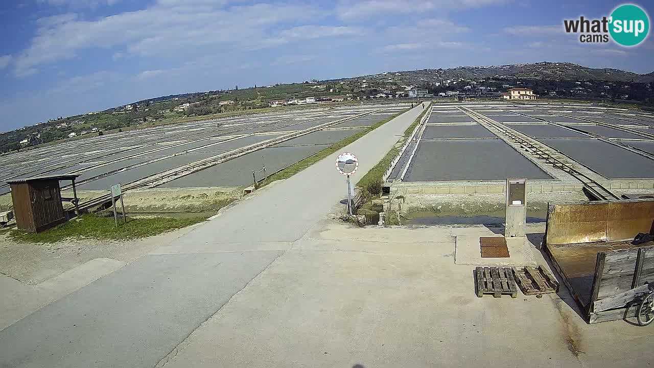 Sečovlje Salina Nature Park – KPSS