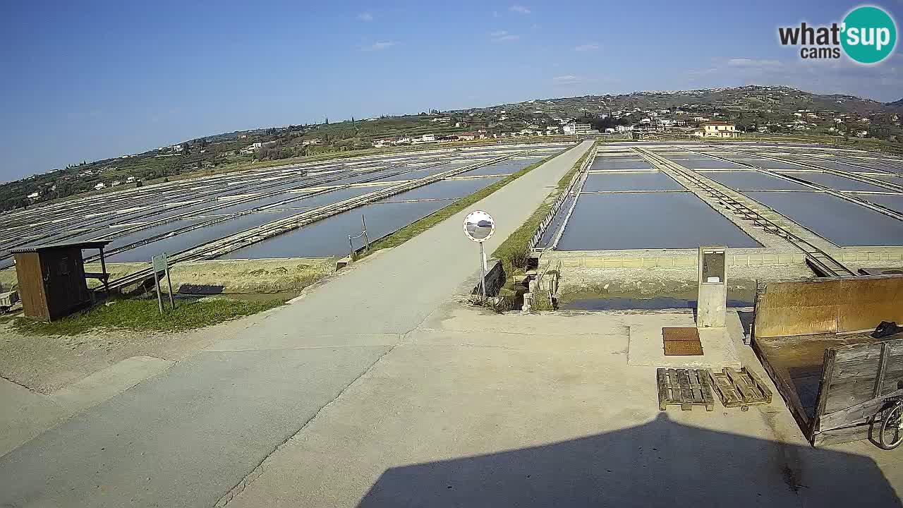 Parco Naturale Saline di Sicciole