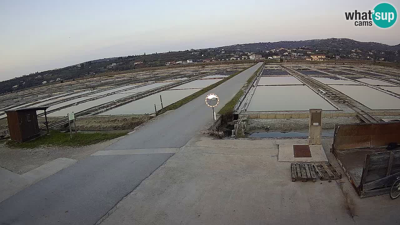 Seča – Panorama in soline