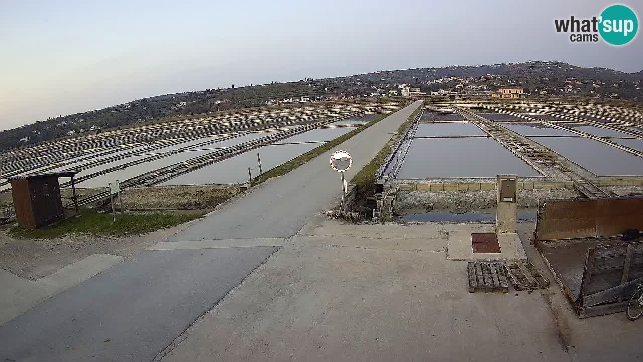 Seča – Panorama in soline