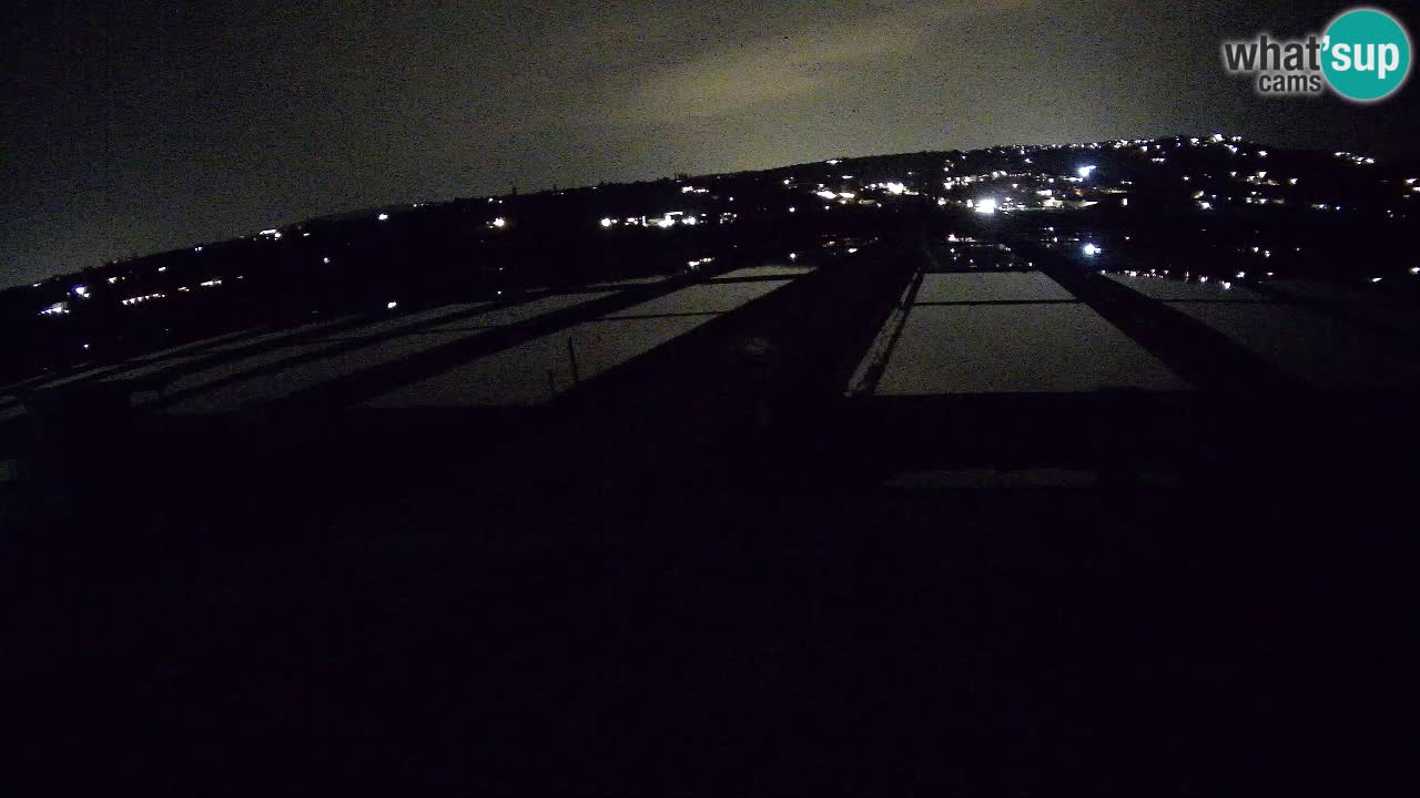 Sečovlje Salina Nature Park