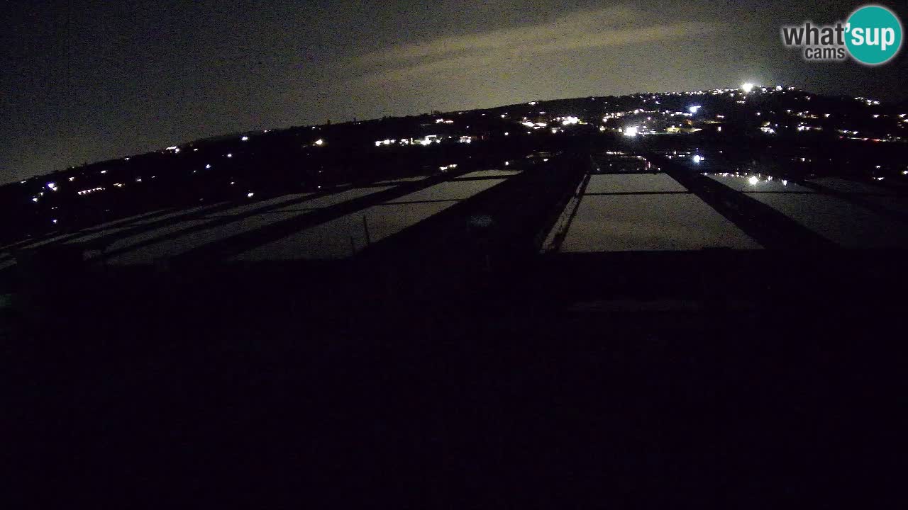 Sečovlje Salina Nature Park – KPSS