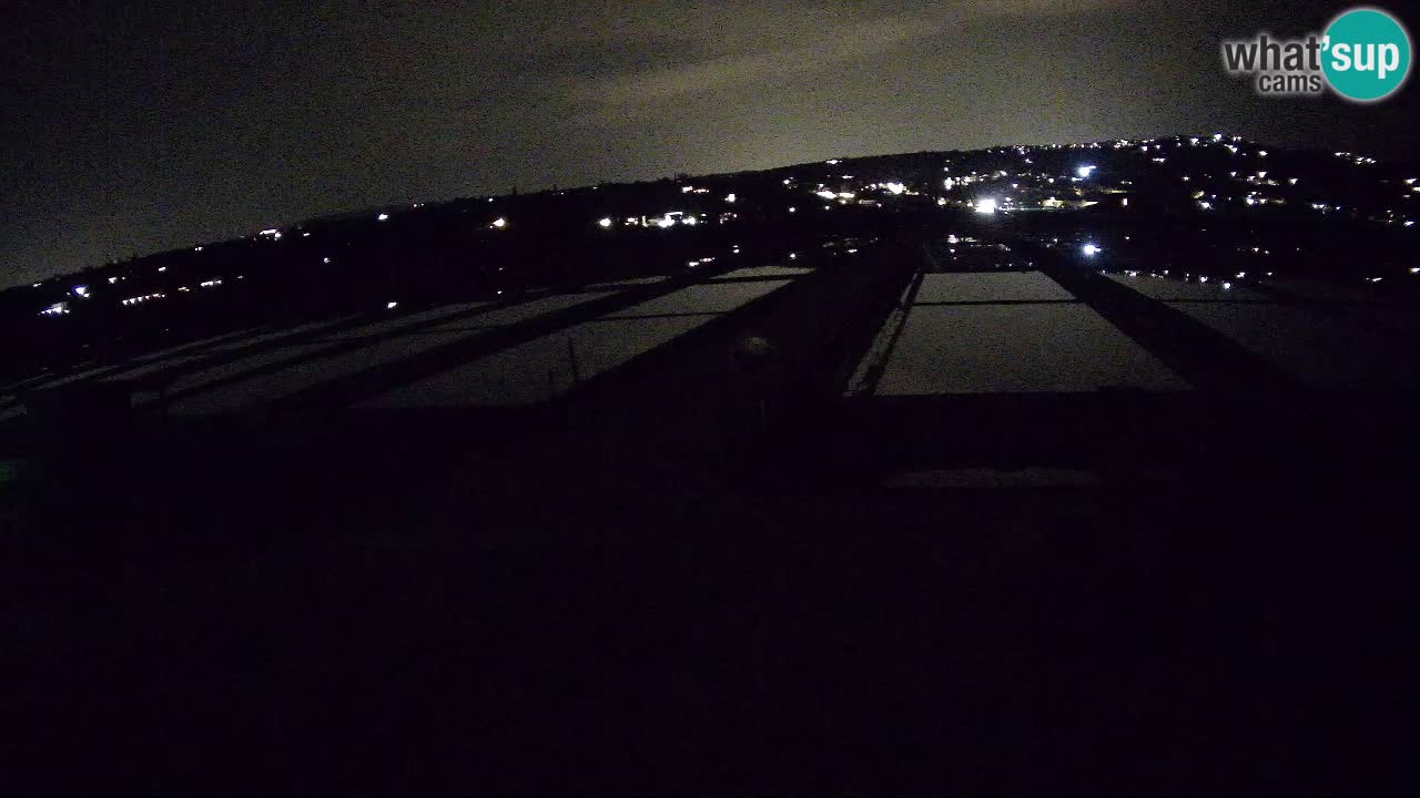 Parco Naturale Saline di Sicciole