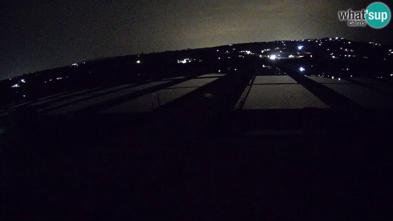 Seča – Panorama and Salina