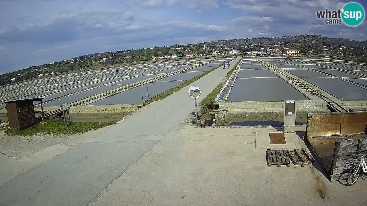 Sečovlje Salina Nature Park