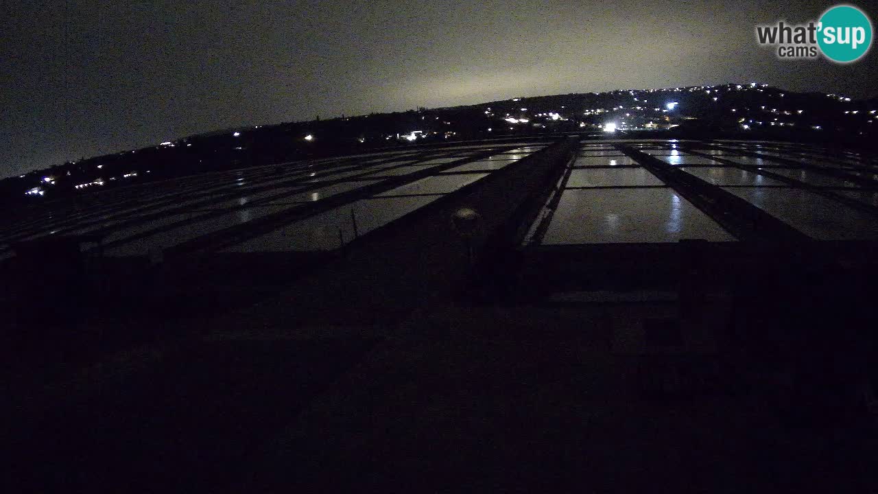 Sečovlje Salina Parque Natural