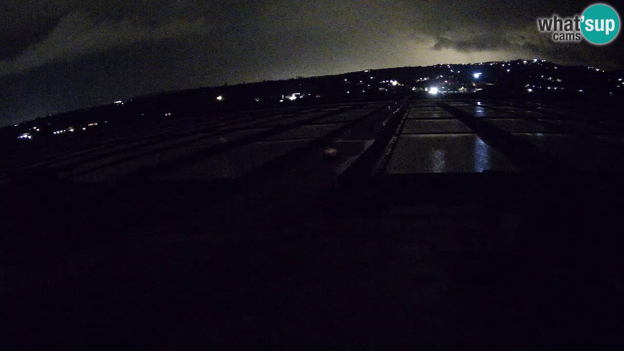 Seča – Panorama in soline