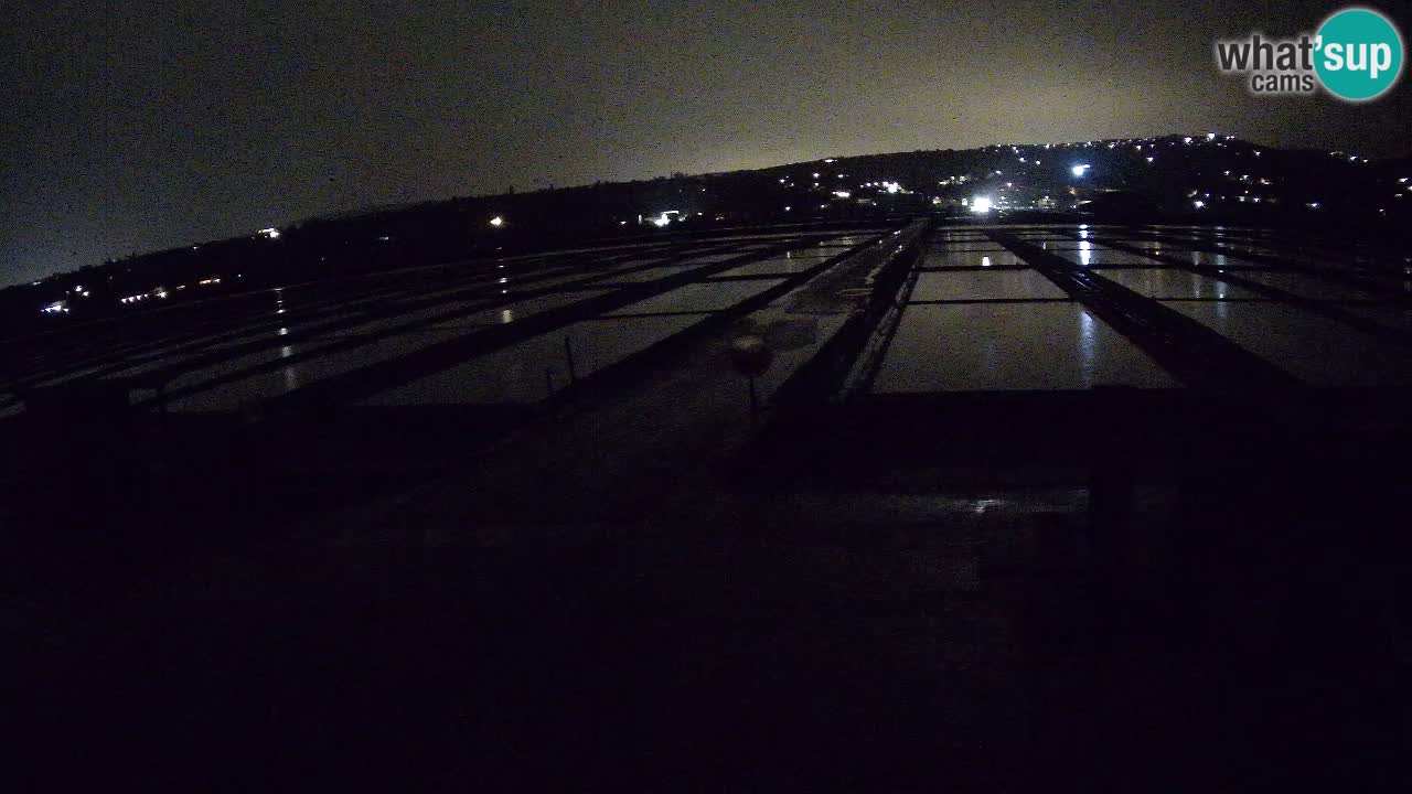 Seča – Panorama and Salina