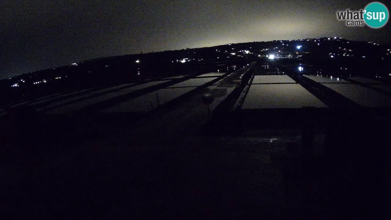 Sečovlje Salina Nature Park – KPSS