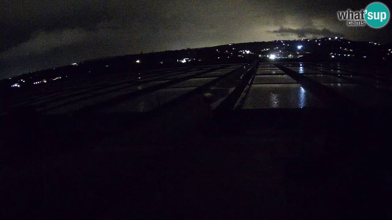 Parco Naturale Saline di Sicciole