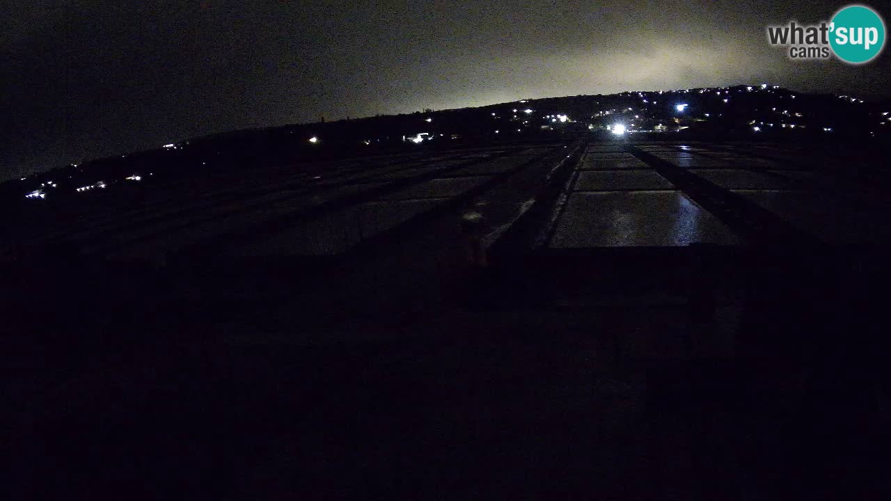 Naturpark der Salinen von Sečovlje