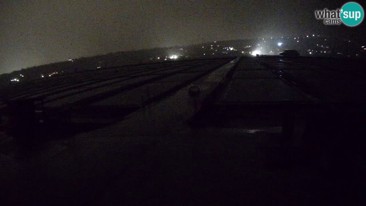 Naturpark der Salinen von Sečovlje