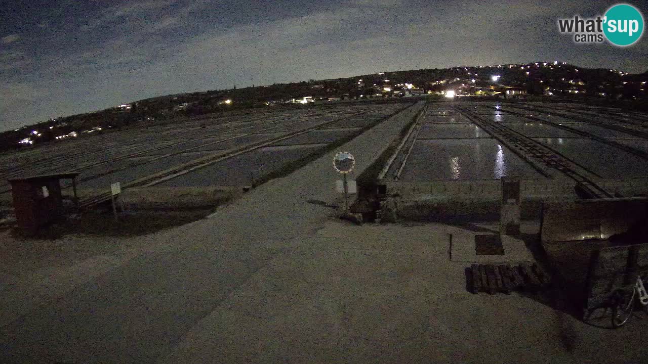 Seča – Panorama and Salina