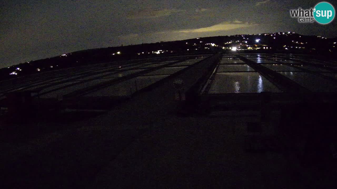 Seča – Panorama and Salina