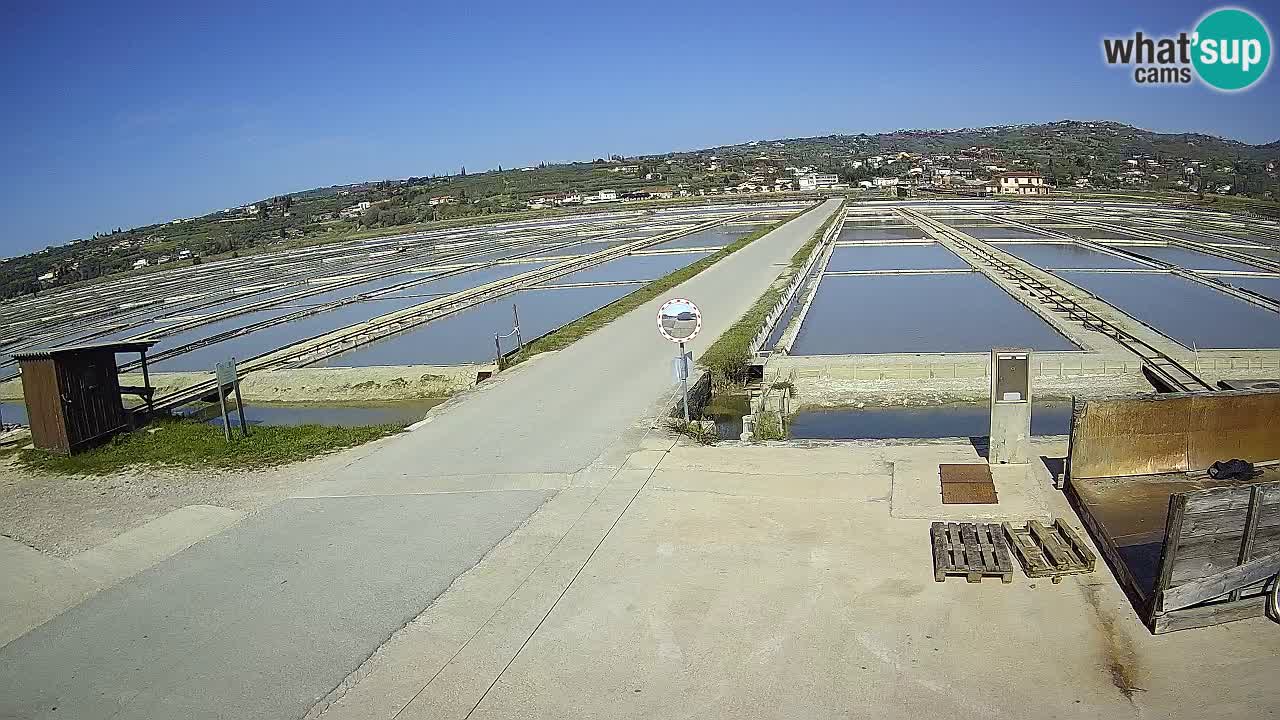 Sečovlje Salina Nature Park – KPSS