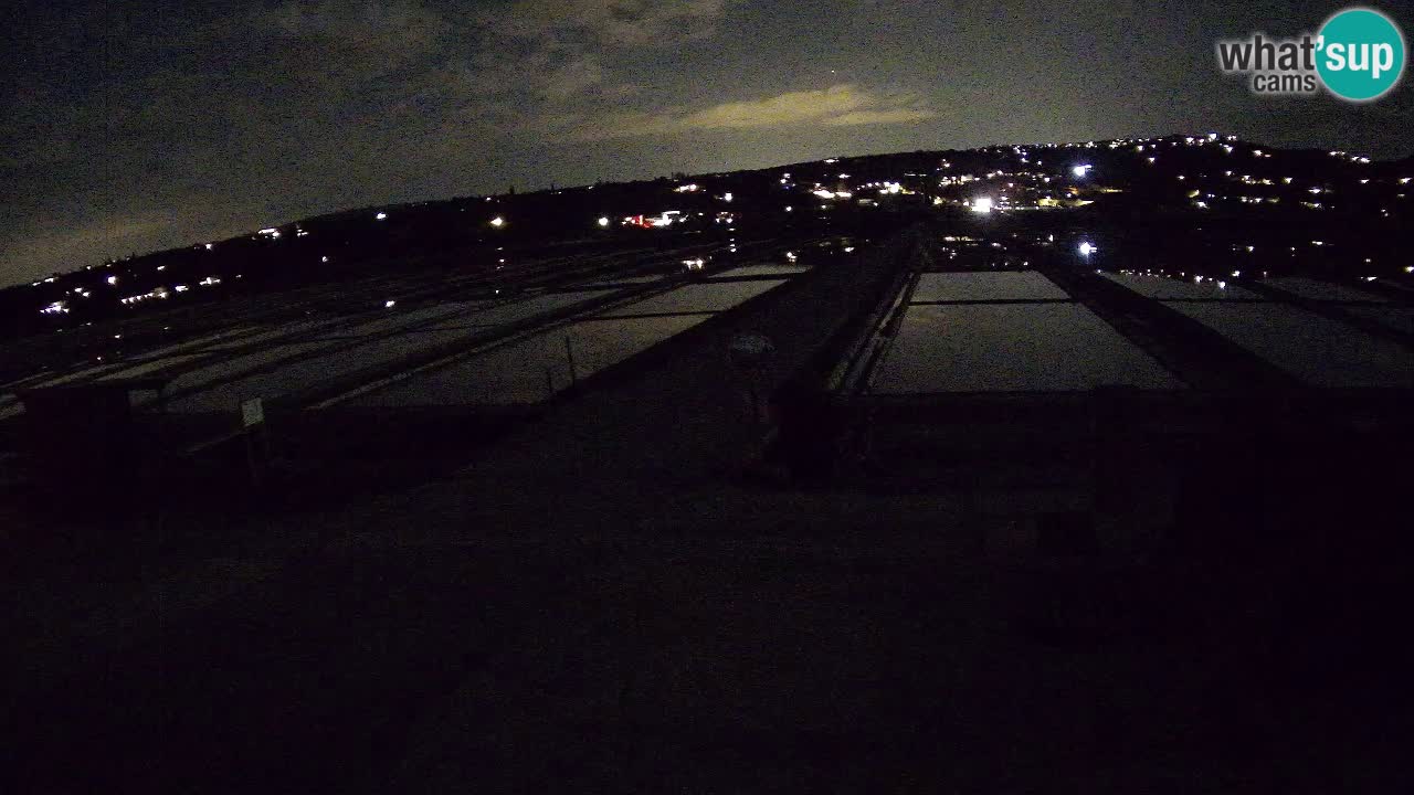 Park prirode Sečovlje Salina