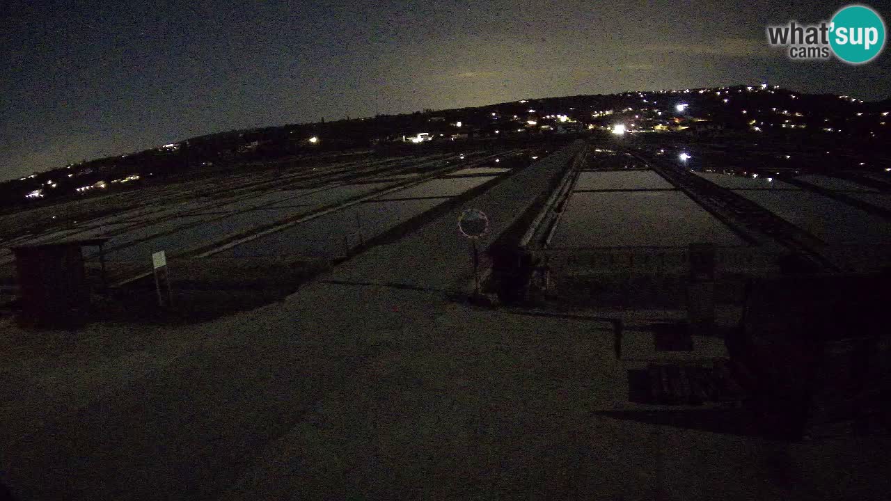 Naturpark der Salinen von Sečovlje