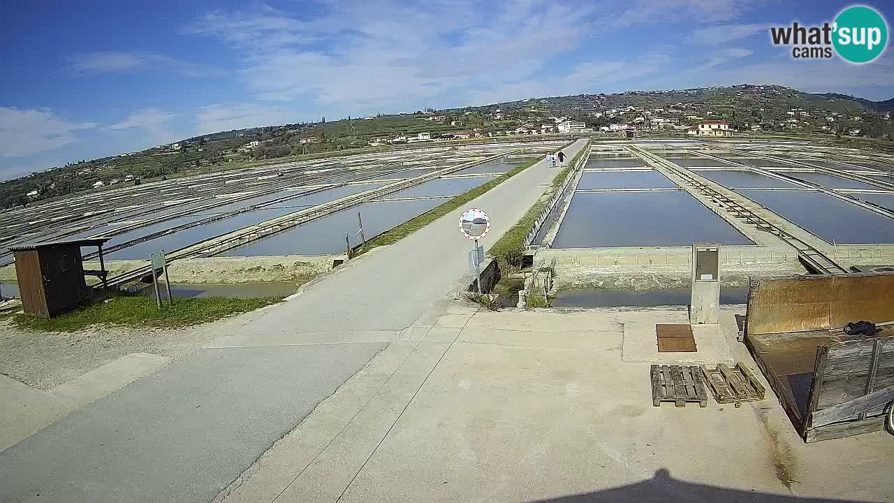 Sezza – Panorama e le saline