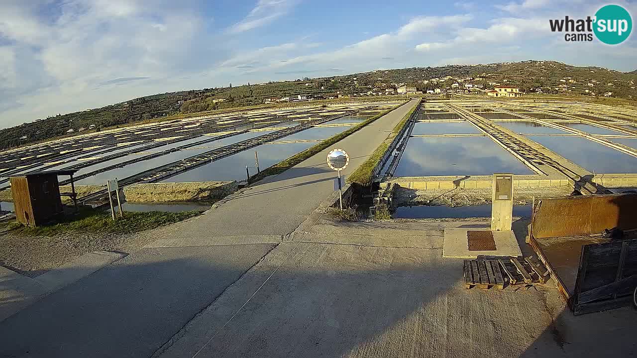 Sezza – Panorama e le saline
