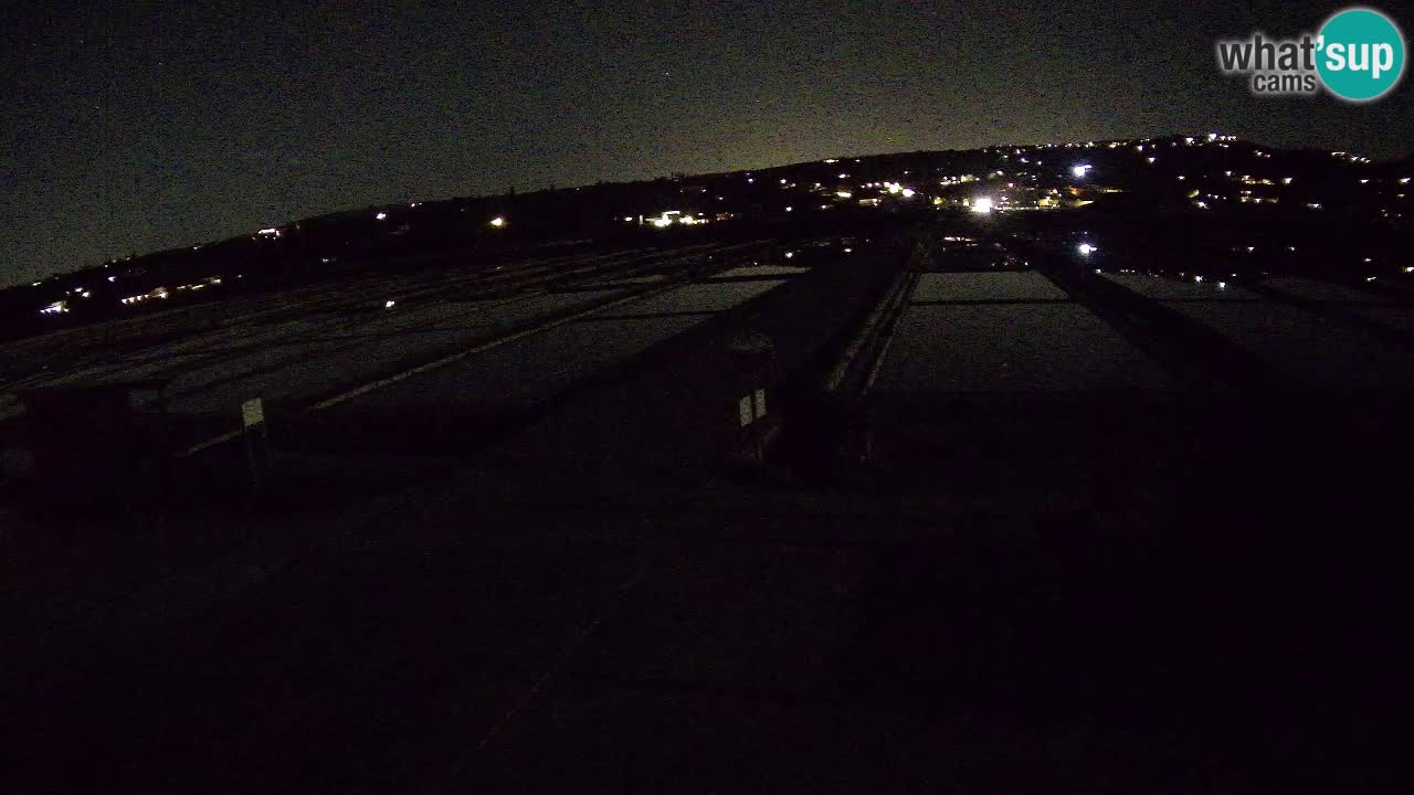 Park prirode Sečovlje Salina