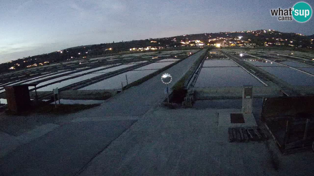 Seča – Panorama and Salina