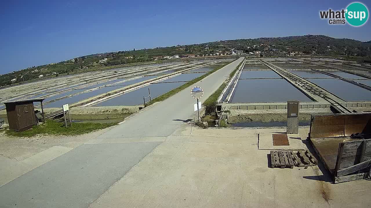 Naturpark der Salinen von Sečovlje