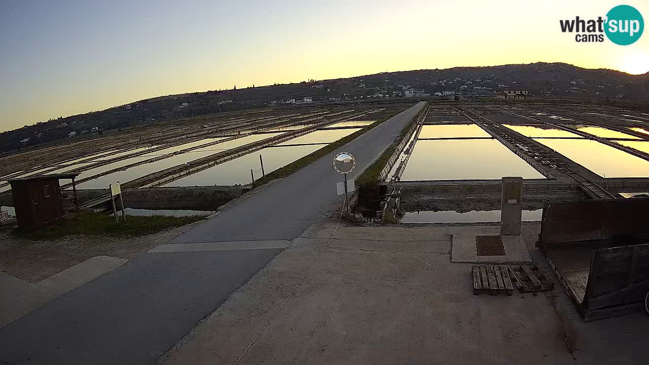 Park prirode Sečovlje Salina