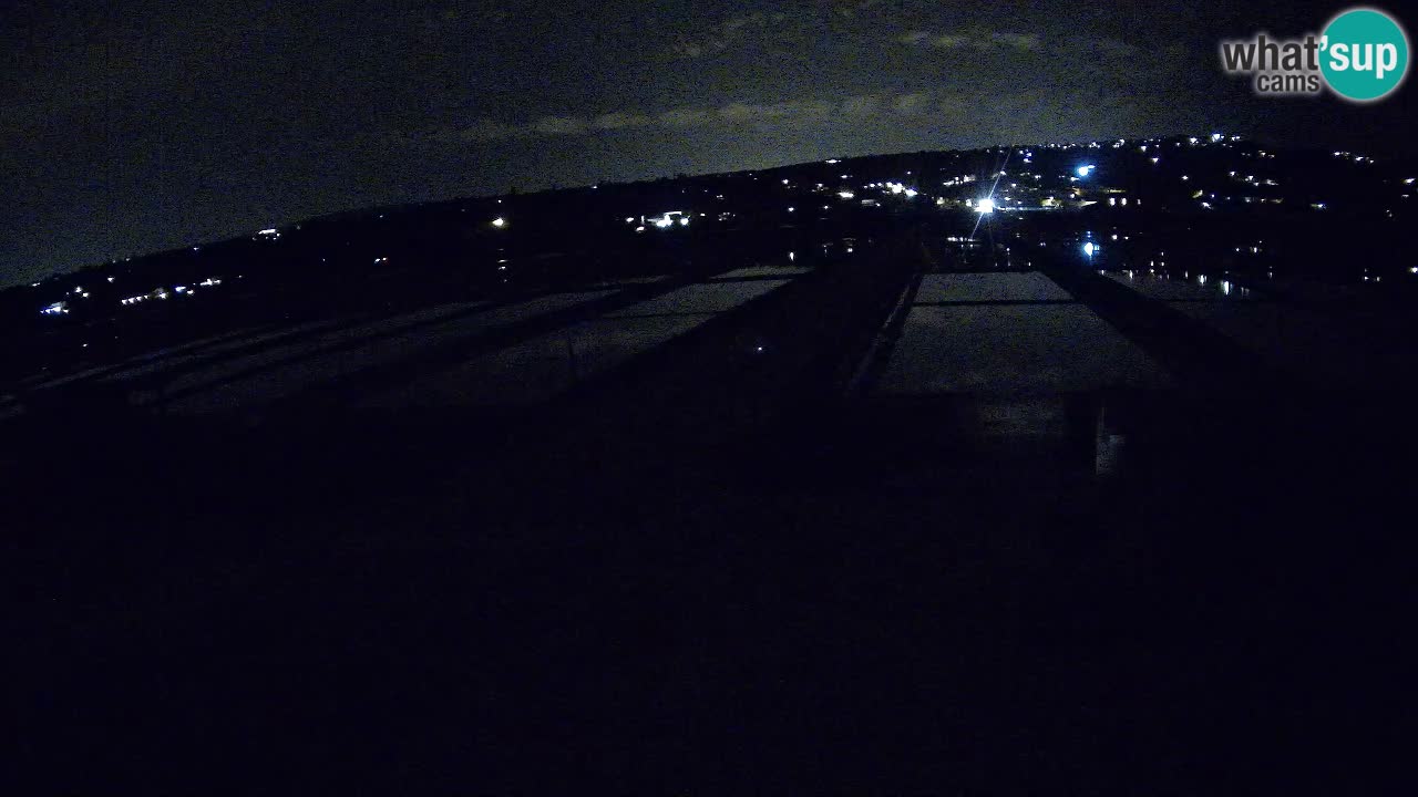 Seča – Panorama in soline