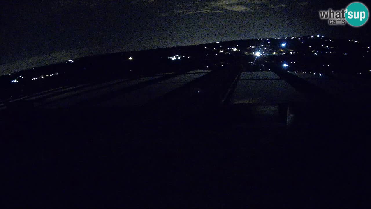 Seča – Panorama and Salina