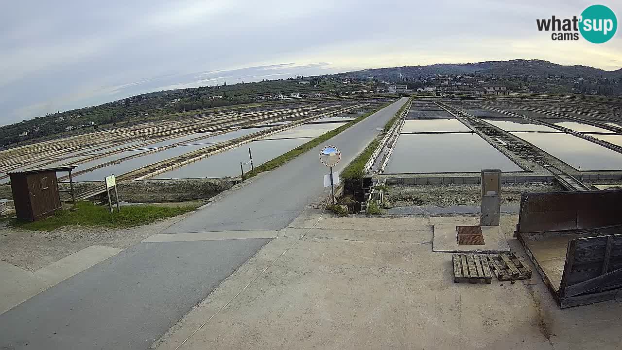 Sečovlje Salina Parque Natural