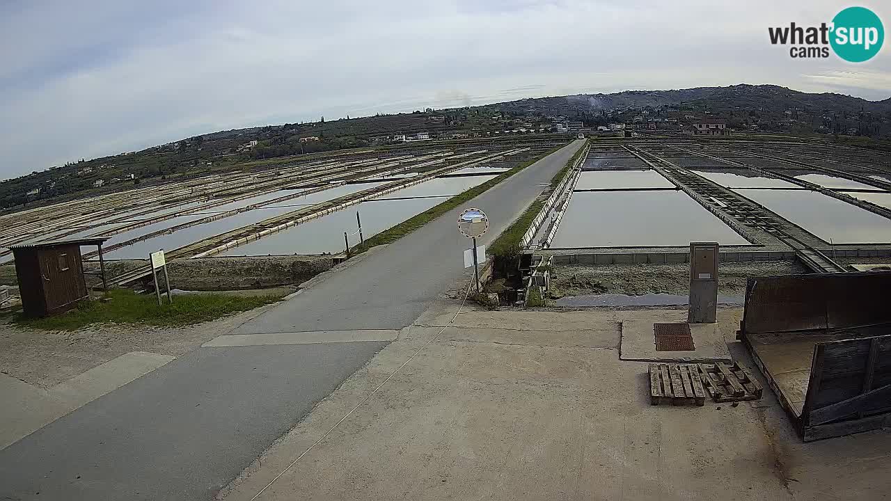 Sečovlje Salina Nature Park – KPSS