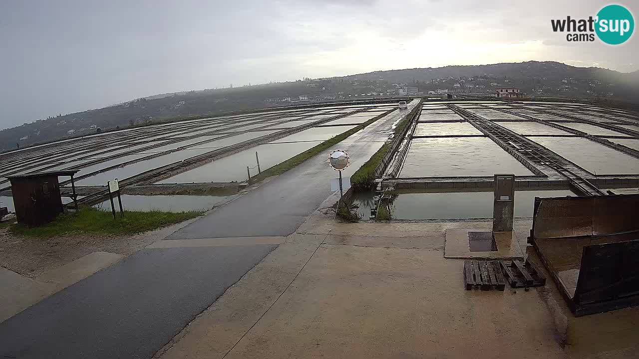 Sečovlje Salina Nature Park