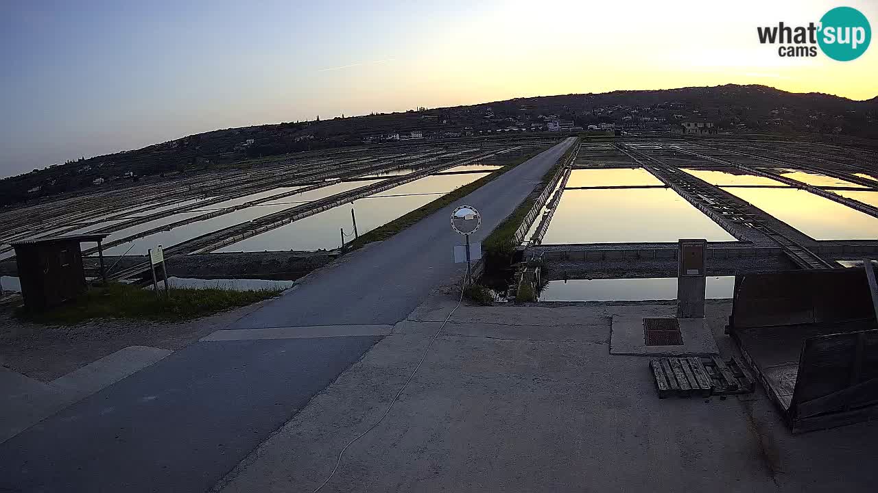 Krajinski Park Sečoveljske Soline