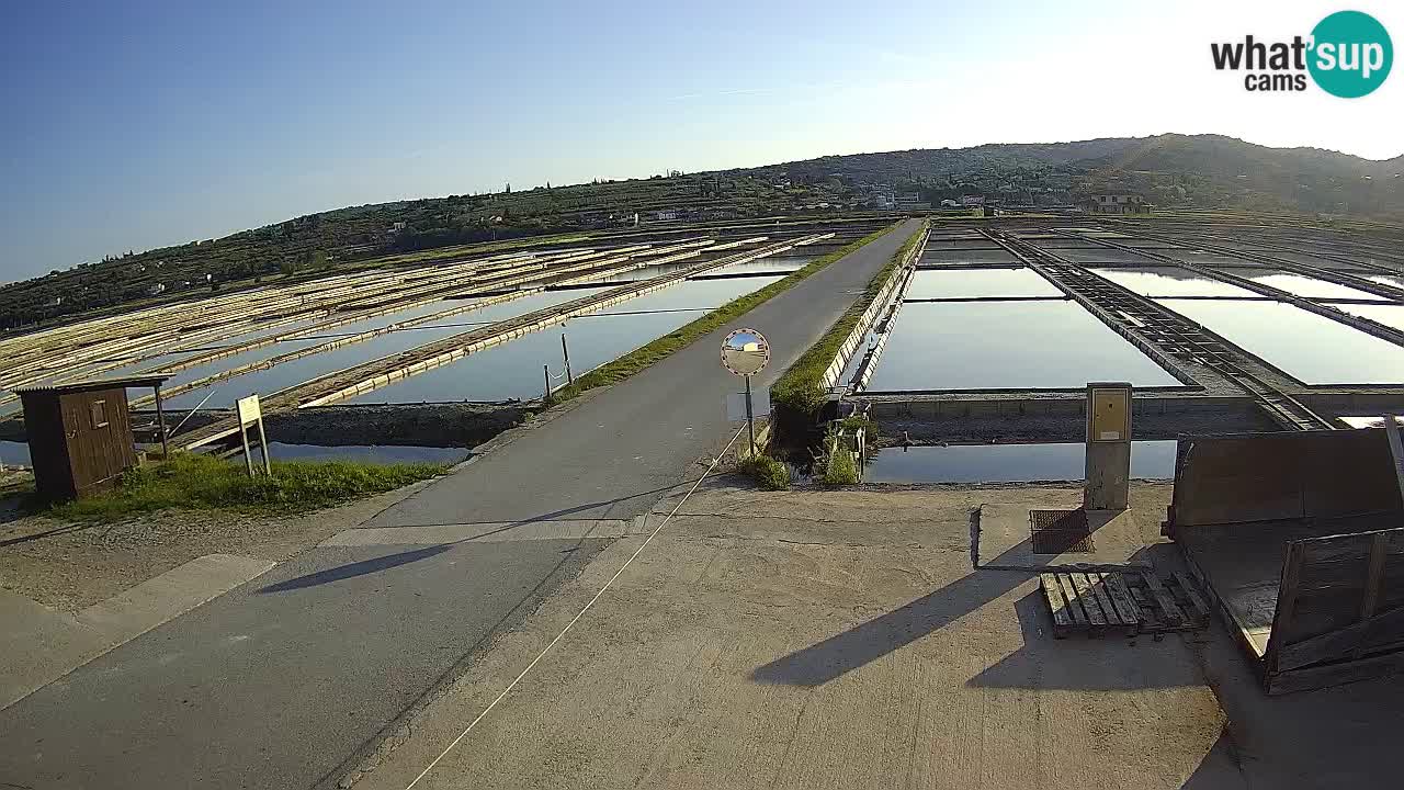 Park prirode Sečovlje Salina