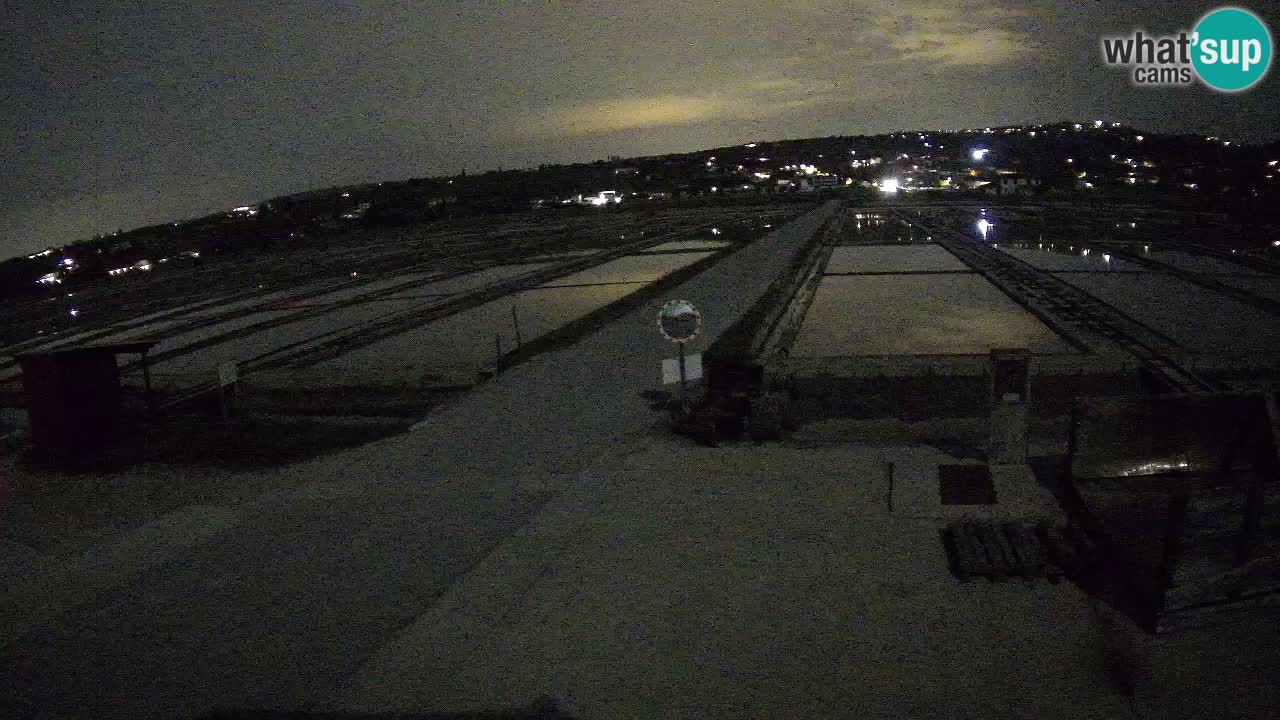 Park prirode Sečovlje Salina