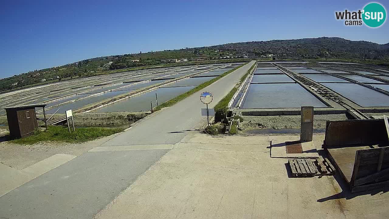 Sečovlje Salina Parque Natural