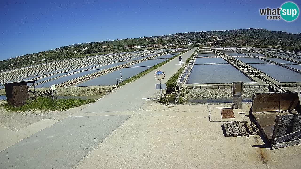 Sečovlje Salina Nature Park – KPSS